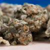 Mehr als ein Kilogramm Cannabis hat die Polizei in Wagen im Allgäu bei einem 18-Jährigen gefunden.