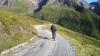 Bei einem Unfall mit einem E-Mountainbike verletze sich am Mittwoch ein 60-Jähriger bei Krammsach in Tirol. Er kam vom Wanderweg ab und stürzte.