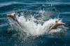 In Fußach ist ein Mann bei einem Kopfsprung in den Bodensee verletzt worden. Offenbar war das Wasser an der Unfallstelle nicht tief genug. (Symbolbild)