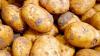 Unbekannte haben eine große Menge Kartoffeln von einem Acker bei Senden gestohlen. (Symbolbild)