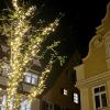 Ein Hingucker: Der Baum am Weinmarkt wurde heuer ebenfalls mit Lichterketten bestückt und bringt nun Licht und Wärme in die dunkle Jahreszeit. 