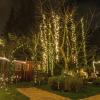 Alles glitzert und leuchtet: Thomas Fischer steckt viel Leidenschaft in die weihnachtliche Dekoration von Haus und Garten.