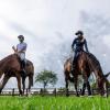 Sophie Hinners (r) und Richard Vogel sind das Traumpaar des Pferdesports.