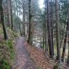 Der Jägersteig/Hubertussteig bei Welden eignet sich auch im Winter bei trockener Witterung für eine Rundtour.