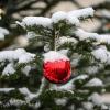 An Heiligabend erwartet der Deutsche Wetterdienst im Süden Bayerns etwas Schnee. (Archivbild)