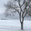 Das Wetter in Bayern ist heute windig und zunehmend winterlich.  