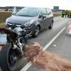 Bei diesem Unfall wurde am Samstag ein Motorradfahrer verletzt. 