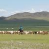 In der Mongolei treffen die Reisenden auf unendliche Weiten, die für einen Europäer kaum vorstellbar sind. Nur ab und an begegnen sie Nomaden, die mit ihren Tieren übers Land ziehen.  