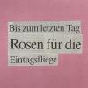 Gedichte aus Michael Schreiners neuem Buch "Rosen für die Eintagsfliege".