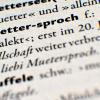 In einem alemannischen Wörterbuch ist das Wort „Muettersproch“ für „Muttersprache“ zu lesen. Als Muttersprache gelten in der neueren Sprachforschung auch Dialekte.