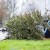 Irgendwann ist es an der Zeit, den Christbaum wieder aus dem Wohnzimmer zu räumen. 