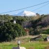 Im März wird es in Kreta bereits warm. Unten im Tal am Meer ist es grün. Im Hintergrund sind die Berge zu sehen. Dort ist es noch tiefer Winter.