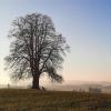 Ralf Schlenz fotografierte am 28. Dezember oberhalb von Margertshausen mit seinem Handy.