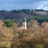 Dieser Dezembertag präsentierte sich fast wie der „Goldene Oktober“. Die gemischten Wälder im Schwarzachtal rings um das Kloster Oberschönenfeld zeigten sich in vielfältigen Farbnuancen, als die Sonne für kurze Zeit die Wolkendecke durchdrang.