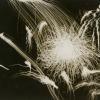 Das Berliner Kulturforum präsentiert gerade die Ausstellung „Feuerwerkskünste aus fünf Jahrhunderten“. Zu sehen ist dort auch Aenne Biermann Fotografie „Feuerwerk“. Sie hat den flüchtigen Moment im Jahr 1928 festgehalten. 