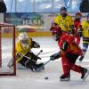 Beim begeisternden Spiel der U9-Mannschaft der Türkheim Celtics (gelbe Trikots) gegen den ESV Kaufbeuren durfte auch das Maskottchen auf dem Tor nicht fehlen.