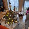 Brigitte Weber aus Neuburg schreibt: "Unser Weihnachtsbaum steht auf dem Wohnzimmertisch in meiner 45-Quadratmeter-Wohnung."