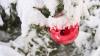 Weiße Weihnachten könnte das Wetter in den nächsten Tagen mit Schneefall ins Allgäu bringen. (Symbolbild)