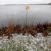 Am Dienstag sind in Bayern Regen, Schnee und Graupelschauer gemeldet.