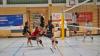 Die Damen des TV Bad Grönenbach gewinnen in der Volleyball-Bayernliga gegen den TSV Obergünzburg mit 3:0.