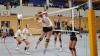 Die Damen des TV Bad Grönenbach gewinnen in der Volleyball-Bayernliga gegen den TSV Obergünzburg mit 3:0.