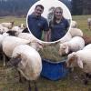 Christian und Sonja Bernthaler betreiben den Buchs-Hof bei Buchloe. 