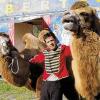Tiere und Artisten in der Manege