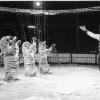 Zirkus Siemoneit-Barum kommt im Jubiläumsjahr nach Lohr