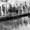 Forellen von der Saale in die Welt