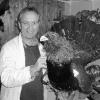 Heinz Wecklein hat ein seltenes Hobby. Er ist Tierpräparator und das schon
25 Jahre. Zurzeit arbeitet er an einem Auerhahn mit seinem bunten
Gefieder.