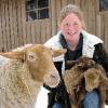 Nachwuchs gab es über den Winter im Wildpark Bad Mergentheim. Tierpflegerin Sandra Hertwick präsentiert zwei vor wenigen Tagen auf die Welt
gekommene Lämmchen, deren Mama scheint auch stolz in die Kamera zu blicken.