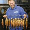 Stolz zeigt Fischwirt Peter Papritz seine leckeren Fische. Goldgelb kommen die Saiblinge und Forellen nach ein
paar Stunden aus dem Buchenholzrauch.