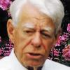 Galt als großer Mann der Fotoindustrie: Dr. Hans Gerhard Kindermann.
