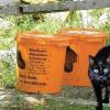 Zweifelhafte Geschäftemacher haben in Rottenbauer diese Altkleider-Tonnen verteilt. Tierfreunde befürchten,
dass diese Gefäße mit Duftstoffen präpariert sind, um Katzen anzulocken.