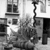 Siegbert Herkert in Goßmannsdorf ist Künstler und Metallbauer zugleich. Zu seinen Werken gehört die Fliege
und eine große Palme aus Metall.