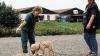 Armella Dünninger aus Kleinmünster zeigt ihrem jungen Golden Retriever an, dass er auf der Decke Platz machen soll. Tierlehrerin Hannelore Dahl
(rechts) beobachtet die Übung und gibt Ratschläge.