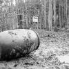 Eine "Kirrstelle" im Wald: Der Jäger lockt das Wild mit Futter an, um es schießen zu können.