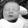 Babys des Tages