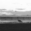 So soll sie aussehen, die künftige Forster Arena aus Holz. Nur der Mittelgang ist noch fraglich.