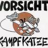 Die Kampfkatze und ihr Anzug