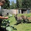 Einen verwunschenen Garten mit Kunstwerken aus Holz, Metall und Ton sowie kuriose Tiere vom Pfau bis zum
Känguru können die Besucher am Tag der offenen Gartentür bei Marianne und Friedrich Goldstein (im Bild) "Am
Weiler" zwischen Marktheidenfeld und Erlenbach bestaunen.