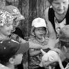 Fasziniert waren die Mädchen und Jungen des Reyersbacher Kindergartens beim Besuch des Aussiedlerhofes von
Jutta und Udo Molitor von den kleinen Ferkeln. Sie wurden mit Streicheleinheiten verwöhnt.