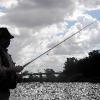 Die Schonzeit für Raubfische ist vorbei. Seit dem 16. Juli können Angler - wie hier am Main in Haßfurt - wieder Hechte, Zander, Barsche und Waller
angeln.