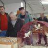 Taubenmarkt 2007 in Hofheim eröffnet Händler und Kunden fachsimpelten in der neuen Ausstellungshalle Rudi Brantner Hofheim Erst im zweiten Jahr und doch schon ein Klassiker – so könnte man den Taubenmarkt in Hofheim knapp umschreiben. Nachdem der Geflügelzuchtverein Ibind und Umgebung (GZV) seine neue Halle 2005 in der Johannisstraße fertig stellen konnte, fand auch der Taubenmarkt ein neues Zuhause. Die geräumige Ausstellungshalle bietet viel Platz für die Händler, sie können ihre Tauben, Hühner und andere Kleintiere im Trockenen zum Verkauf anbieten. Bereits am Auftaktsonntag kamen viele Händler und Kaufinteressierte um gute Geschäfte abzuwickeln, wie sich der Vereinsvorsitzende des GZV Rupert Bockelt erfreut äußerte. In den Vereinsräumen wurden zudem Speisen und Getränke angeboten, keiner der Besucher kam dabei zu kurz. Der Taubenmarkt findet bis einschließlich 1. April jeden Sonntag zwischen 8 und 13 Uhr statt. Weitere Informationen finden sich im Internet unter http://www.gzv-ibind.de oder telefonisch unter 09523/6886 (Rupert Bockelt).