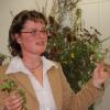 Ortsbäuerin Manuela Großmann, geprüfte Kräuterführerin aus
Oberickelsheim, weihte ihre Kolleginnen beim Ortsbäuerinnentag in Kitzingen in die
Geheimnisse wilder Kräuter und Beeren ein.
