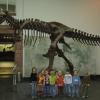 Beeindruckend war für die Westheimer Kindergartenkinder der Besuch im Senckenberg Museum in Frankfurt.