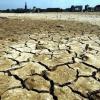 Das ausgetrocknete Rheinufer in Düsseldorf im Sommer 2003: für Klimaforscher kein undenkbares Zukunftsszenario.