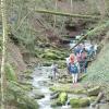 Die Klingelbachschlucht unweit des Klosters Triefenstein war Ziel einer Exkursion. Michael Maier, Natur- und Landschaftsführer, leitete die geführte Wanderung, zu der über 50 interessierte Naturfreunde gekommen waren. Eingeladen hatte der „Naturpark Spessart e.V.“.