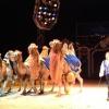 Der Circus Carl Busch kommt nach Würzburg. Junior-Chef Manuel Wille-Busch wird eine Kameldressur zeigen.