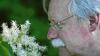 Wolfram Zeller findet den Duftwald am Seehof in Garitz dufte. Unser Bild zeigt den Leiter des auch für Bad Kissingen zuständigen Forstbetriebs Bad Brückenau mit Blüten einer Blumenesche.